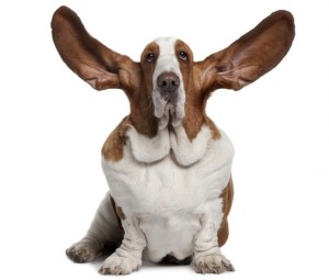 Listening
