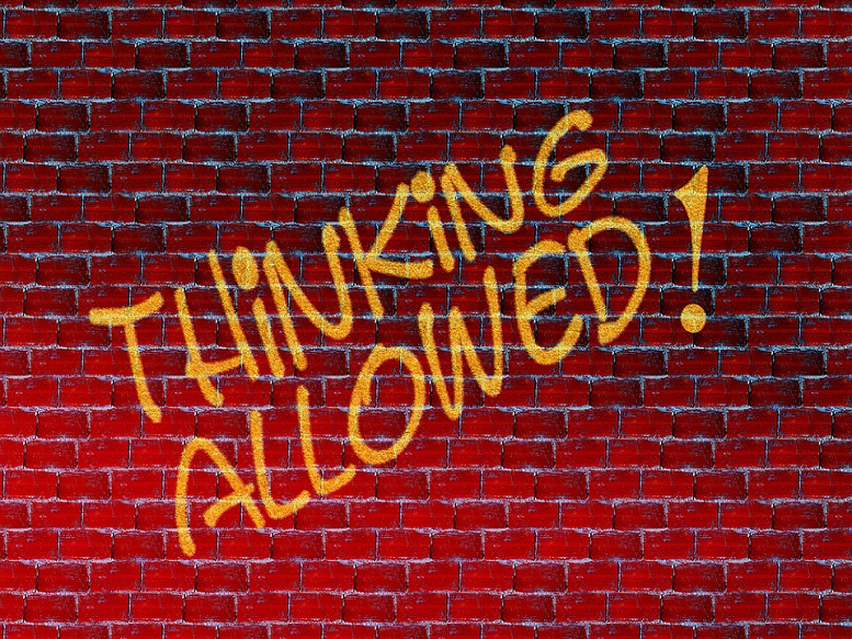 Brick wall with the words Thinking Allowed!